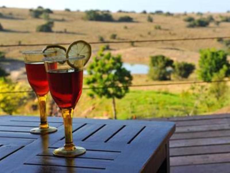 Kwantu Private Game Reserve Sidbury Exterior foto